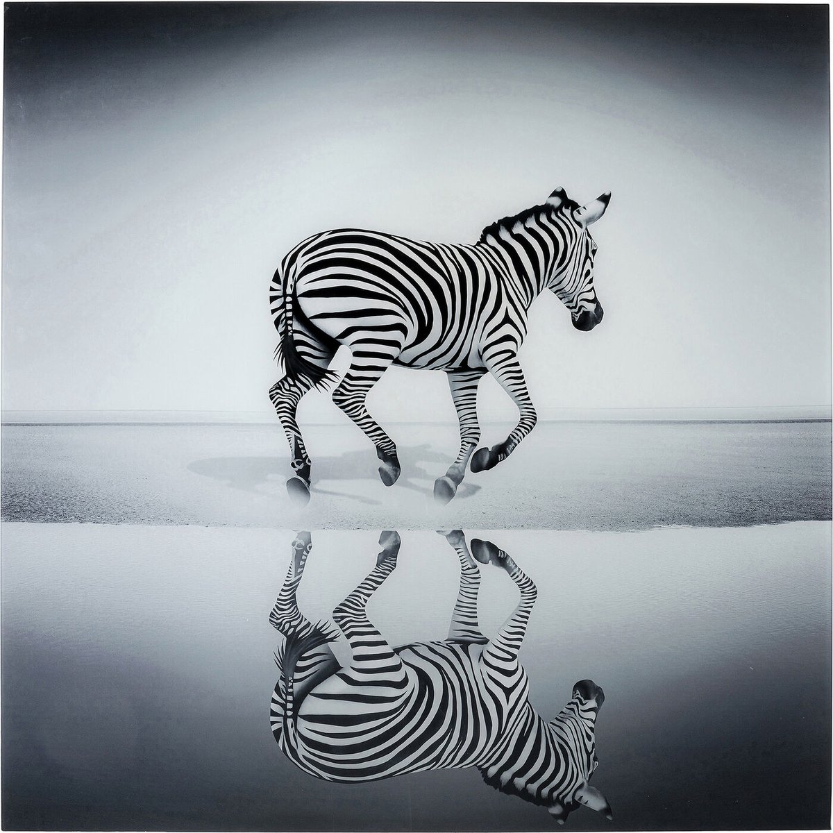 Картина Savanne Zebra